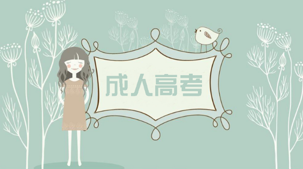 紅河成人高考報名費用標準是是什么？
