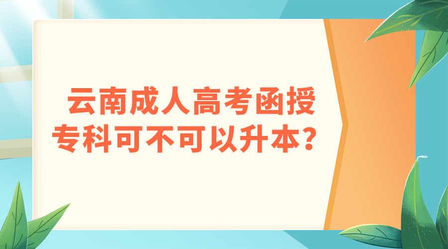 云南成人高考函授專科可不可以升本？.png