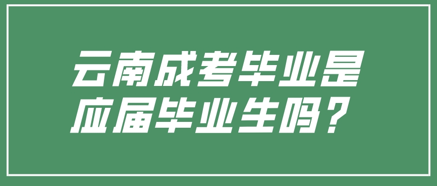 云南成考畢業是應屆畢業生嗎？.jpeg