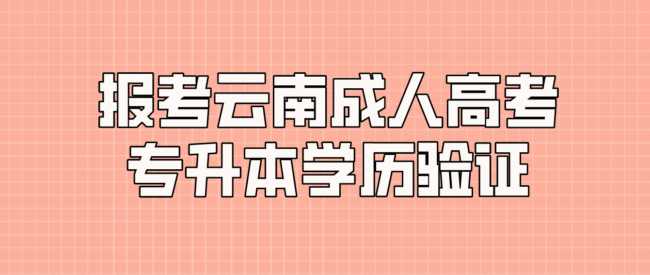 報考云南普洱成人高考專升本應具有什么學歷，如何進行驗證？